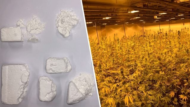Nga pronar bari në shitës kokaine, dënohet shkodrani në Angli