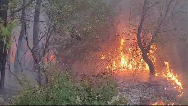 Zjarr në Bulqizë! Situata del jashtë kontrollit në kurorën e Liqenit