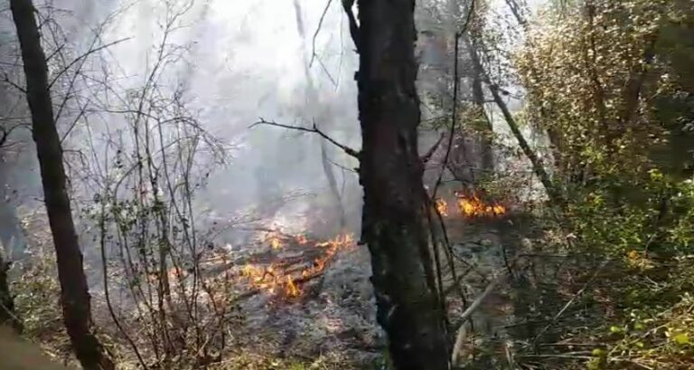 Aktivizohet sërish zjarri në lagjen Bojë në Krujë (Detaje)