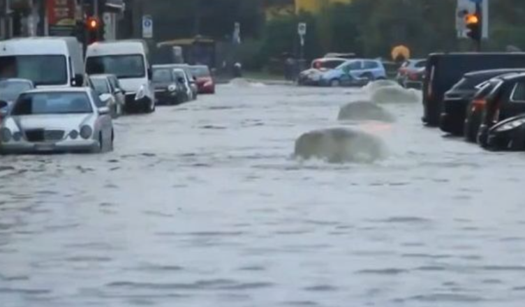 Reshjet e dendura të shiut ‘bëjnë kërdinë’ në këtë vend