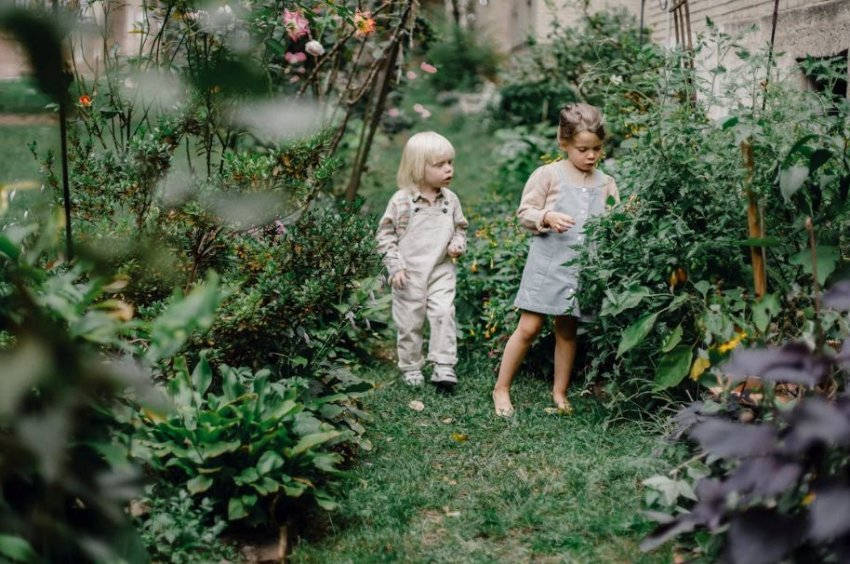 Sindroma e motrës së madhe: jeni të sigurt që nuk vuani nga ajo?