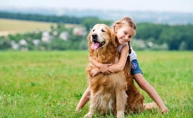 Cilat janë përfitimet e shumta të të pasurit një kafshë shtëpiake?