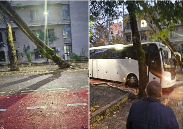 Moti i keq në kryeqytet/ Pema gjigante bie mbi autobus