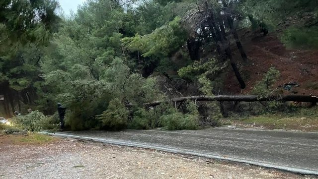 Moti i keq bllokon aksin Krujë-Fushë Krujë, pisha të rrëzuara…