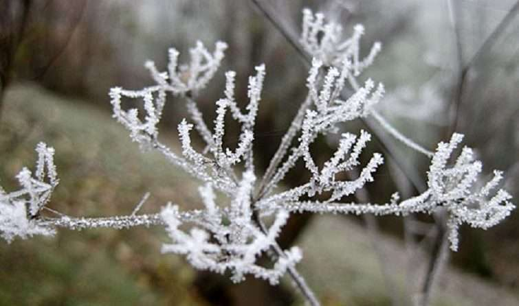 Temperatura deri në -5 gradë celcius, ja parashikimi i motit