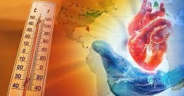 Si të mbroni zemrën tuaj në plazh dhe gjatë temperaturave të larta!